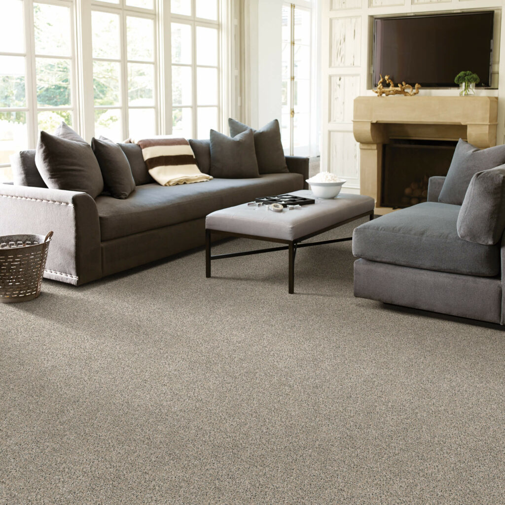 Living room carpet flooring | America's Flooring Store